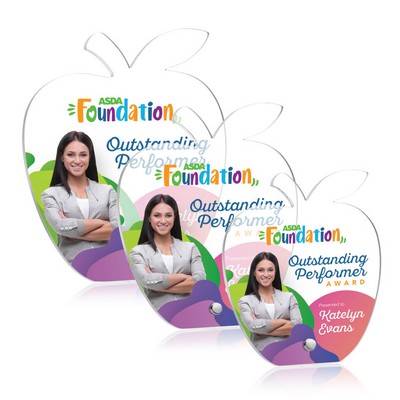 Polaris Apple VividPrint™ Award - Silver